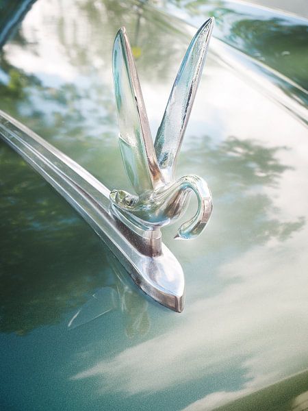 Amerikanischer Oldtimer Patrician 1954 Kühlerfigur von Beate Gube