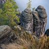 Nebel am Ferdinandstein - Sächsische Schweiz (Elbsandsteingebirge) von t.ART