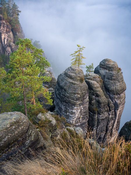 Fog on the Ferdinandstein - Saxon Switzerland (Elbe Sandstone Mountains) by t.ART