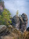 Fog on the Ferdinandstein - Saxon Switzerland (Elbe Sandstone Mountains) by t.ART thumbnail