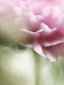 Aquarellieren mit Licht 1