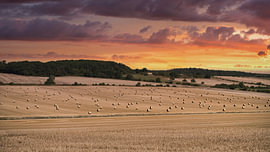 Een veld met strobalen bij zonsondergang