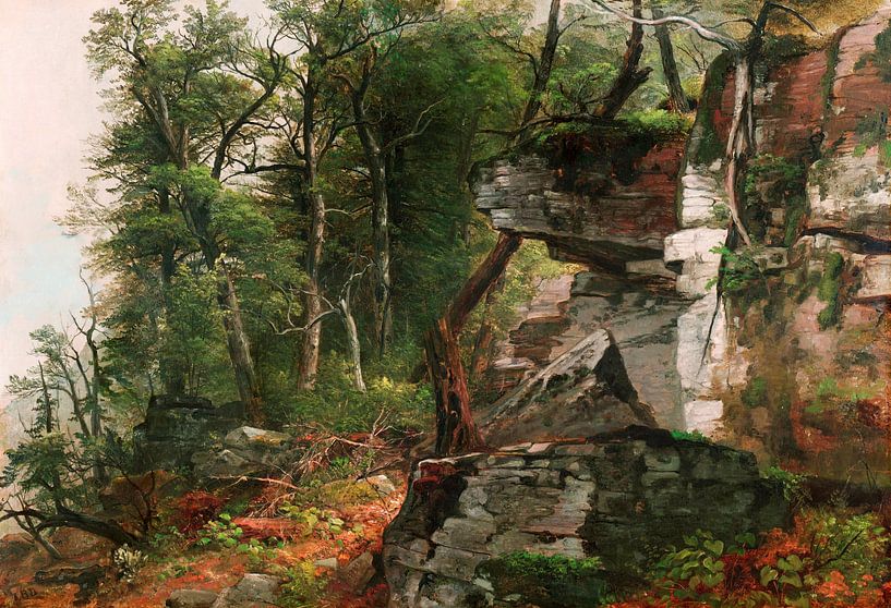 Asher Brown Durand,Bomen op een Rocky Hillside van finemasterpiece