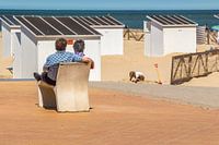 Zitje delen op de dijk te Oostende