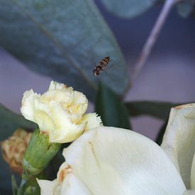 Unterwegs von Kirsten van Engelenburg