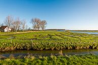 Naturschutzgebiet Breede Gooi in Dirksland von Ruud Morijn Miniaturansicht