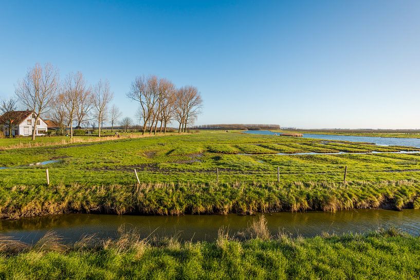 Natuurgebied Breede Gooi in Dirksland van Ruud Morijn