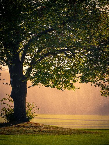 Indian summer in Holland