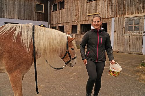 Fotoshoot met lichtbruine Haflinger met beige manen