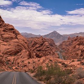 De weg door Valley of Fire, USA van Ruud Bakker