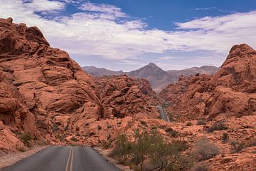 The road through Valley of Fire, USA by Ruud Bakker