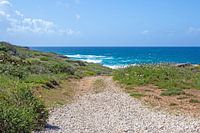 Der Weg am Meer