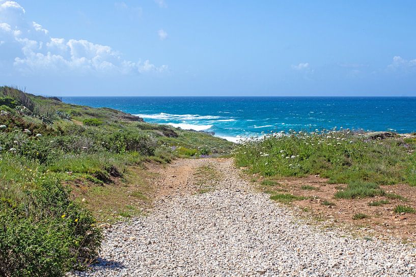 Der Weg am Meer von Gabi Kaula