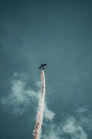 Flugshow