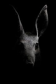 Deer by Poster Art Shop