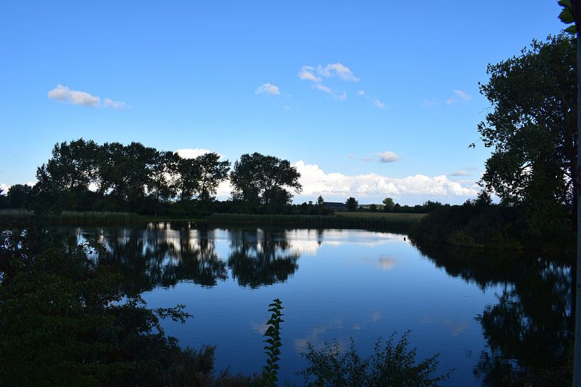 De twee gedachten par Fayenne Gorsse