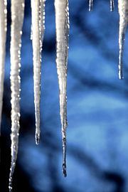 Glaces sur Thomas Jäger