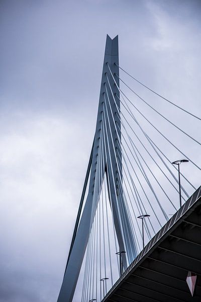 Rotterdam von Leonie Stolk