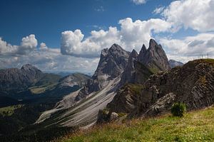 Ruig - dolomieten- seceda
