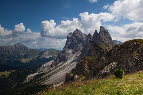 Ruig - dolomieten- seceda