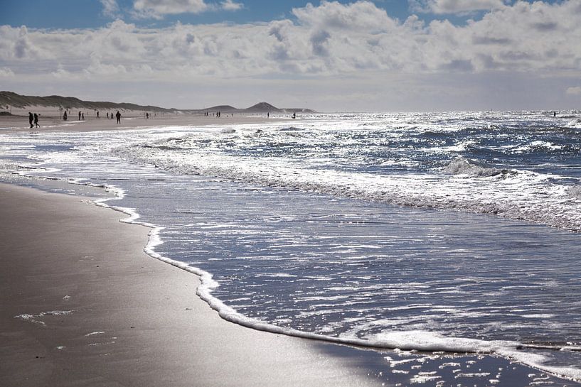 Het strand van Petten by Willy Sybesma