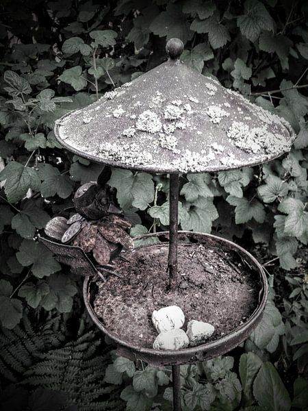 birdbath by Andrea Meister