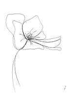 Hydrangea flower One-line drawing