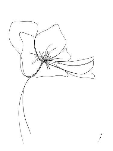 Fleur d'hortensia Dessin d'une ligne