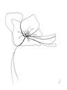 Hortensia bloem One-line drawing van AnkieArt thumbnail