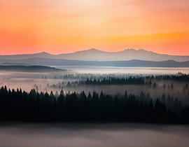 Landschap met mist en bossen