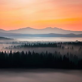 Landschaft mit Nebel und Wälder von Mustafa Kurnaz