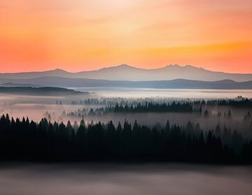 Landschaft mit Nebel und Wälder von Mustafa Kurnaz