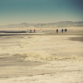 Wandeling naast de golven van Martijn Tilroe