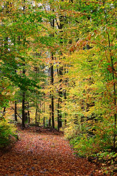 Golden October by Thomas Jäger