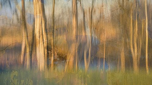 Broken Dreams van Monique van Velzen