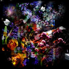 WINDOW DRESSING by Ted van den Aarssen