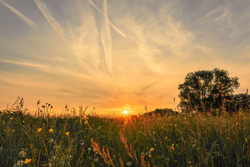 In the field outside the front door by Christian Klös
