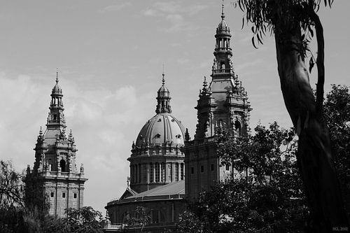 [barcelona] - ... palau reial