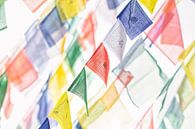 Flying prayer flags in Nepal. by Ron van der Stappen thumbnail