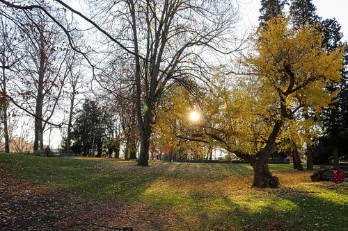 Herbst auf einem Foto