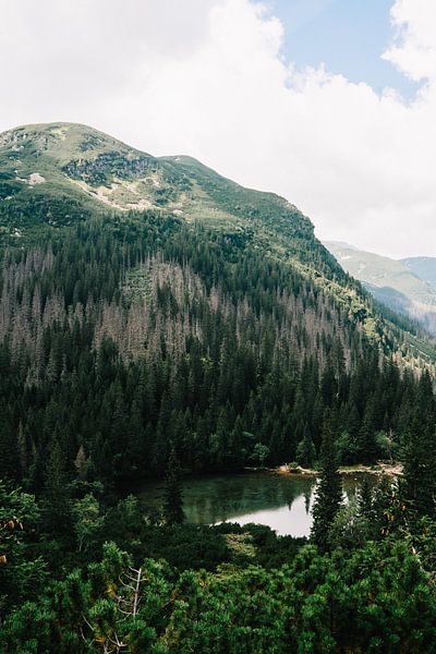 Tatra-Gebirge Slowakei I von Suzanne Spijkers