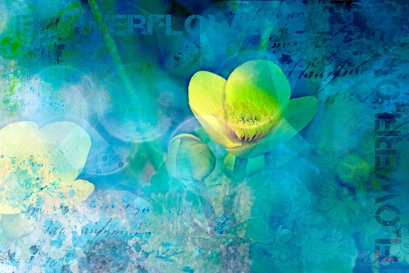 Find the blue flower; by christine b-b müller