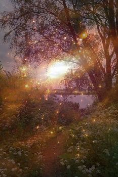 Sterne auf Ihrem Weg 