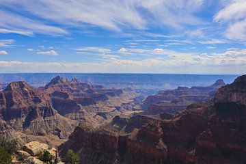 Grand Canyon Süd von Lisa Schrijvers