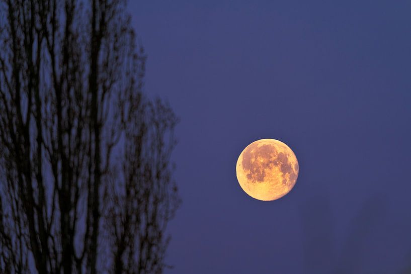 Volle maan van Stephan Zaun