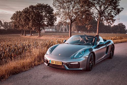 Porsche Boxster GTS Typ 981