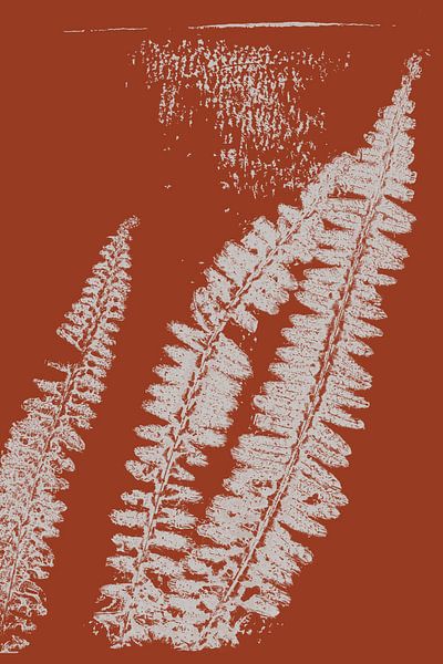 Modern Botanicals. Ferns in terracotta no. 1 by Dina Dankers