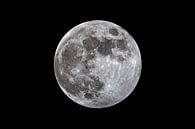 full moon by Monarch C. thumbnail