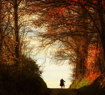 Alte Dame und ihr Fahrrad
