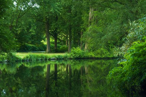 Stadspark Groningen (Nederland)